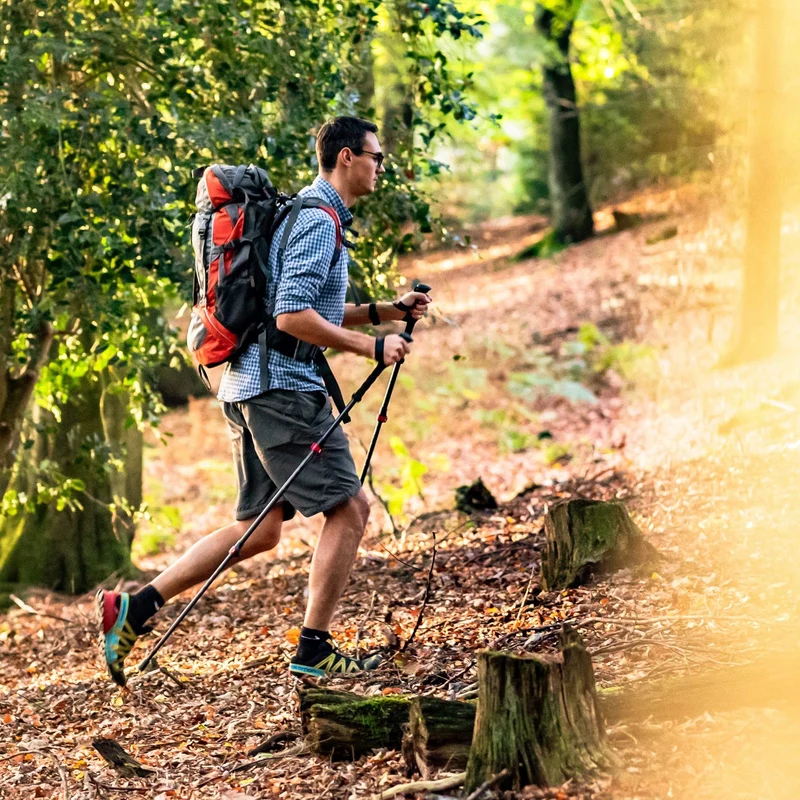 Rothwild Steinbock Trekkingstöcke Carbon Korkgriff Schwarz