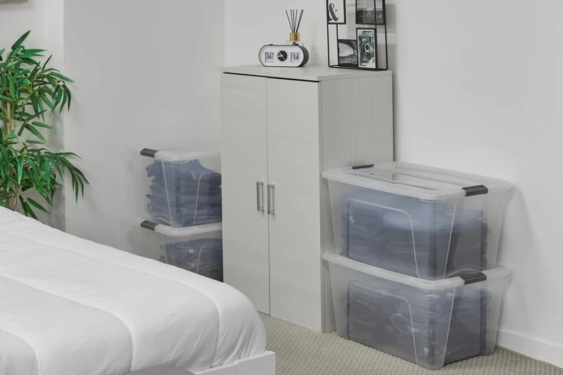 Iris Ohyama NTB-45 Aufbewahrungsboxen - 45L 4er-Set Silber
