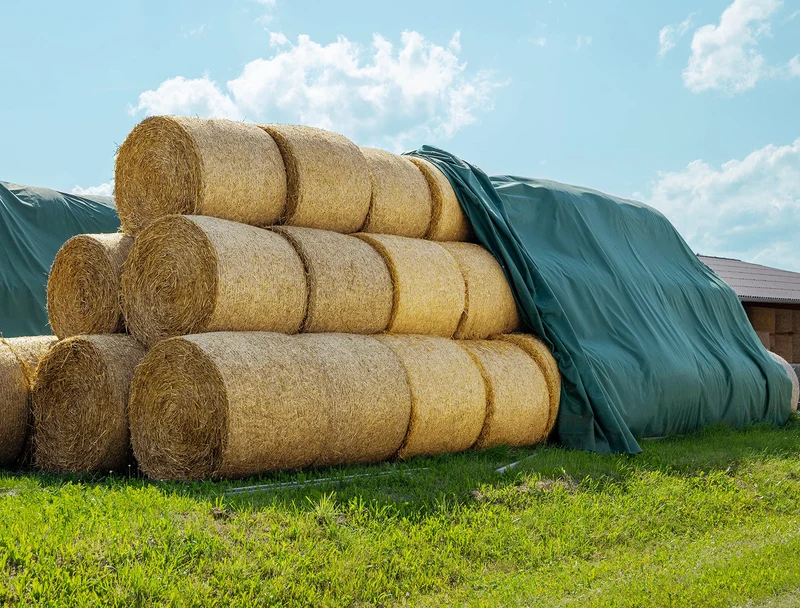 AGRI plus Strohvlies Abdeckvlies - 9,8 x 6 m reissfest