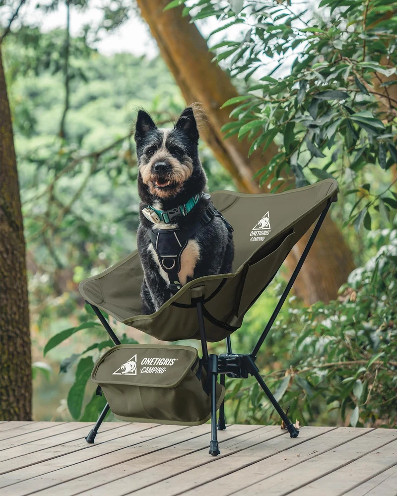 OneTigris TIGERBLADE Campingstuhl ultraleicht - Ranger Grün