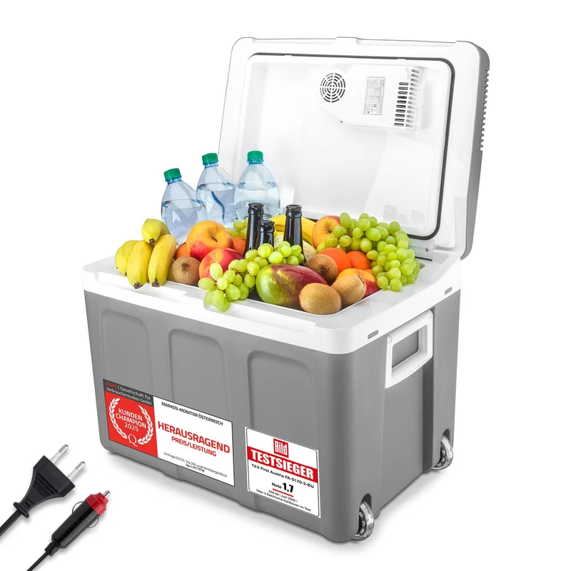TZS First Austria Kühlbox 45L elektrisch 12V/230V – Grau mit Rollen