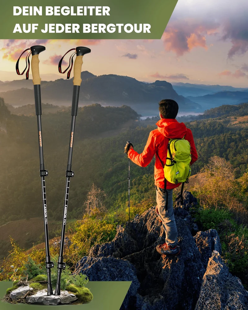 ALPENWERT Wanderstöcke Teleskop Trekkingstöcke - Carbon